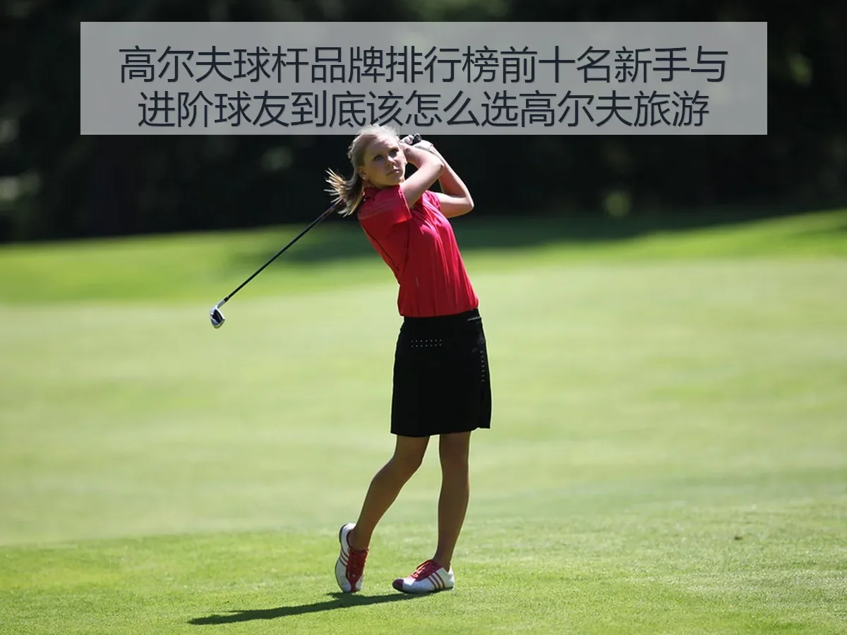高尔夫球杆品牌排行榜前十名新手与进阶球友到底该怎么选高尔夫旅游指南